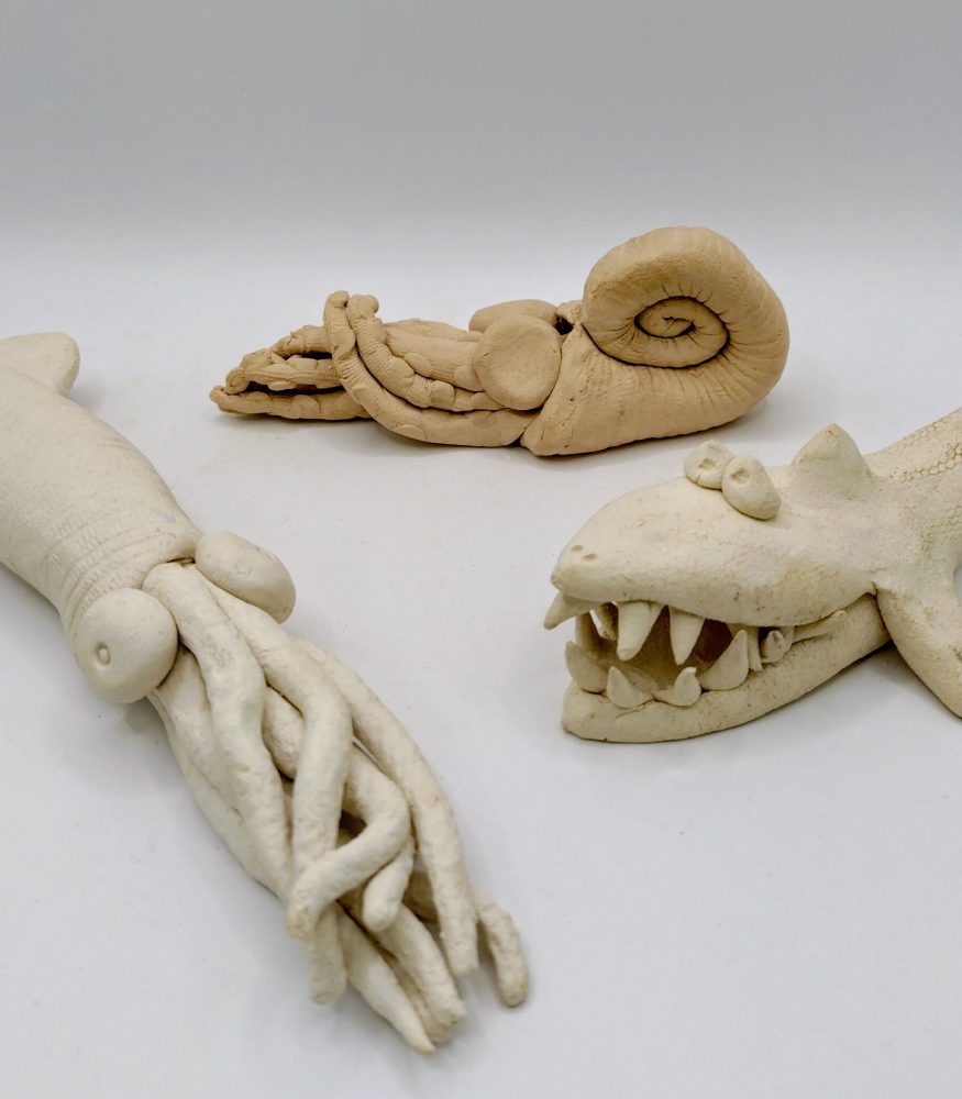 Clay-photo-Macarena-Galvez