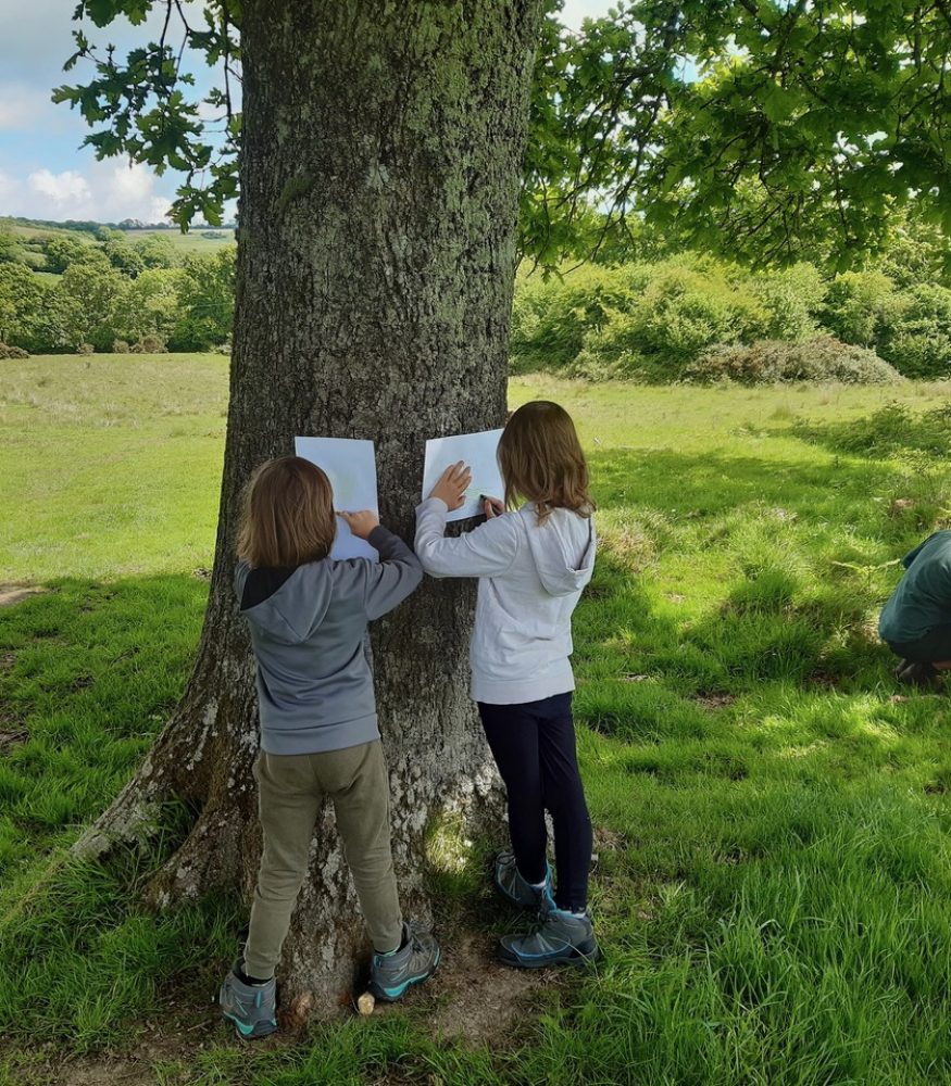 Kingcombe-Tree-Detectives