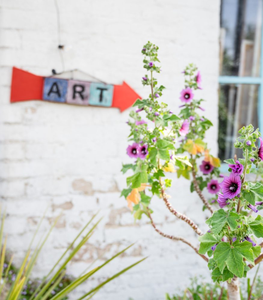 Sandyhill-Arts-for-ADC-2024-0040